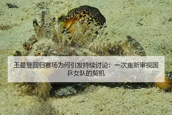王曼昱回归赛场为何引发持续讨论：一次重新审视国乒女队的契机 | okooo